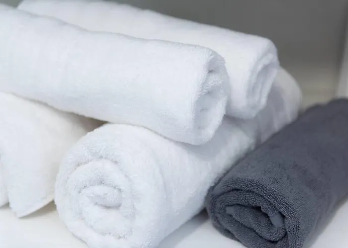 Apelagitis 1 * Exambela