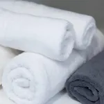 Apelagitis 1 * Exámbela