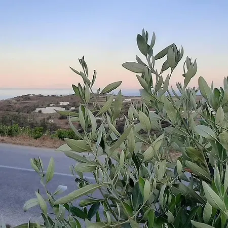 Apelagitis 1 Apartman