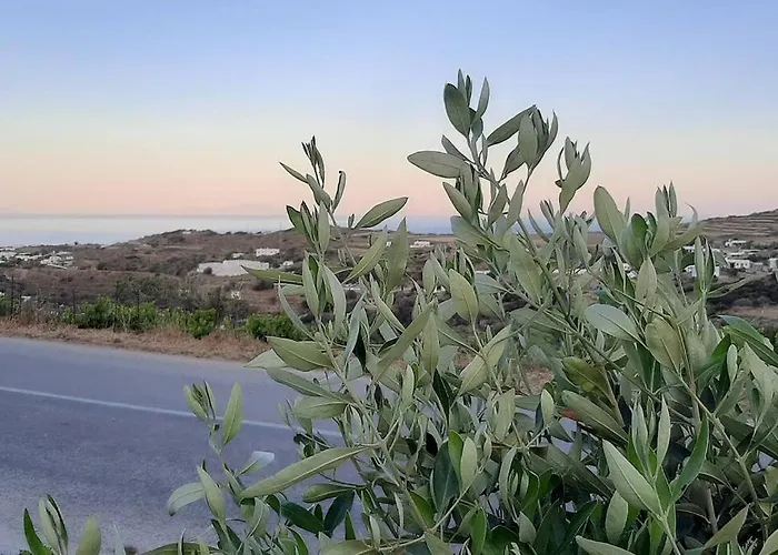 Apelagitis 1 Apartman